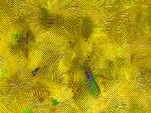 Load image into Gallery viewer, Yellow gold abstract art piece has portions of spirals, circles, and textures highlighting relaxation and positivity.