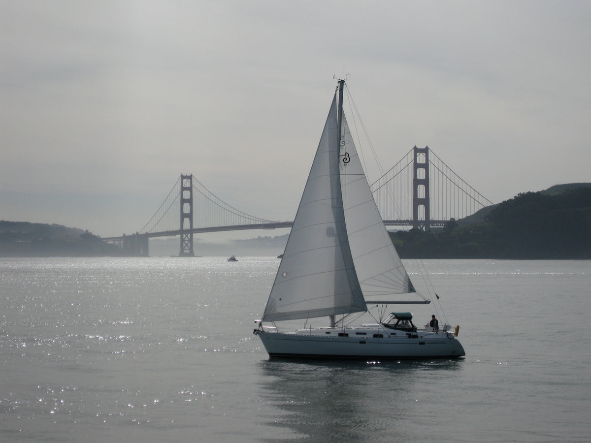 Golden Gate Space I Art of Life Harmony