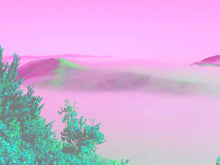 Load image into Gallery viewer, Marin County art north of San Francisco was taken at the top of Sausalito. The landscape art offers harmony & resilience.