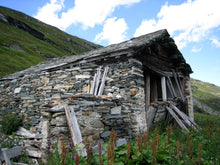 Load image into Gallery viewer, Past and Present