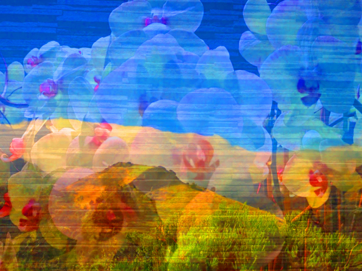 This art photography piece in nature and the landscape combines mountains, flowers, and textured abstract art in California with enhanced beauty.
