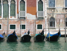Load image into Gallery viewer, Venice Vibes
